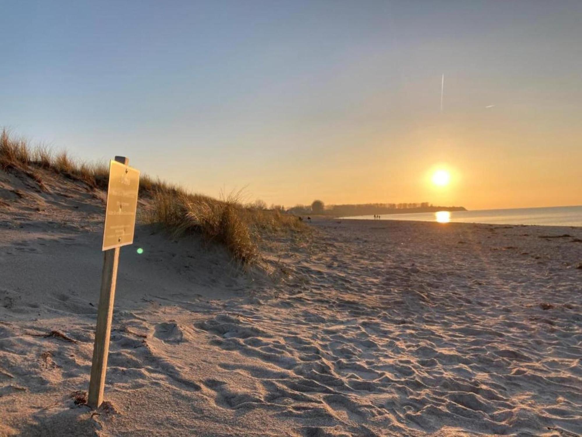 Cozy Holiday Apartment In Rerik On The Baltic Sea المظهر الخارجي الصورة